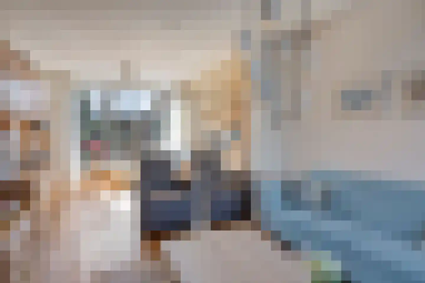 Tooropstraat 3 Apeldoorn thumbnail 5