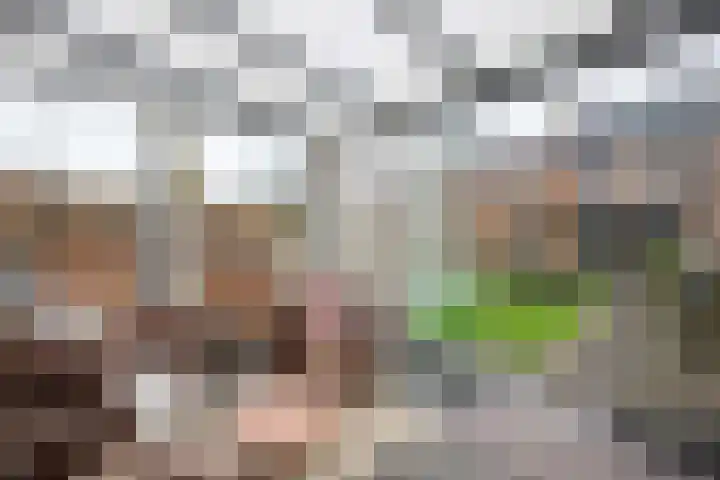 Tooropstraat 35 Zevenaar thumbnail 41