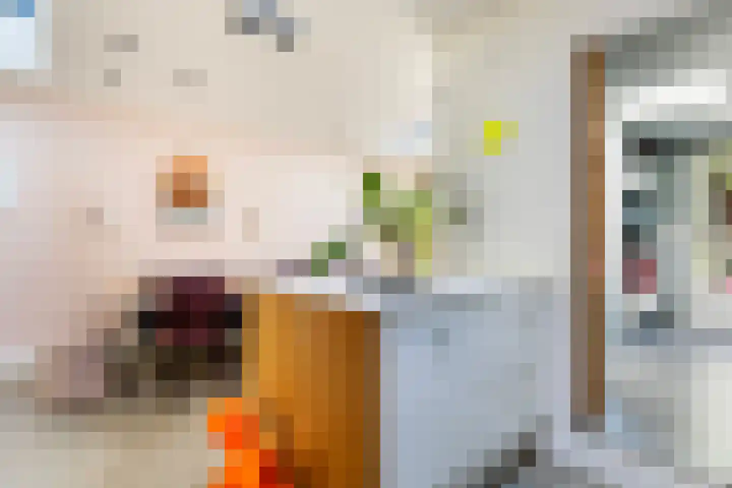 Tooropstraat 36 Apeldoorn thumbnail 16