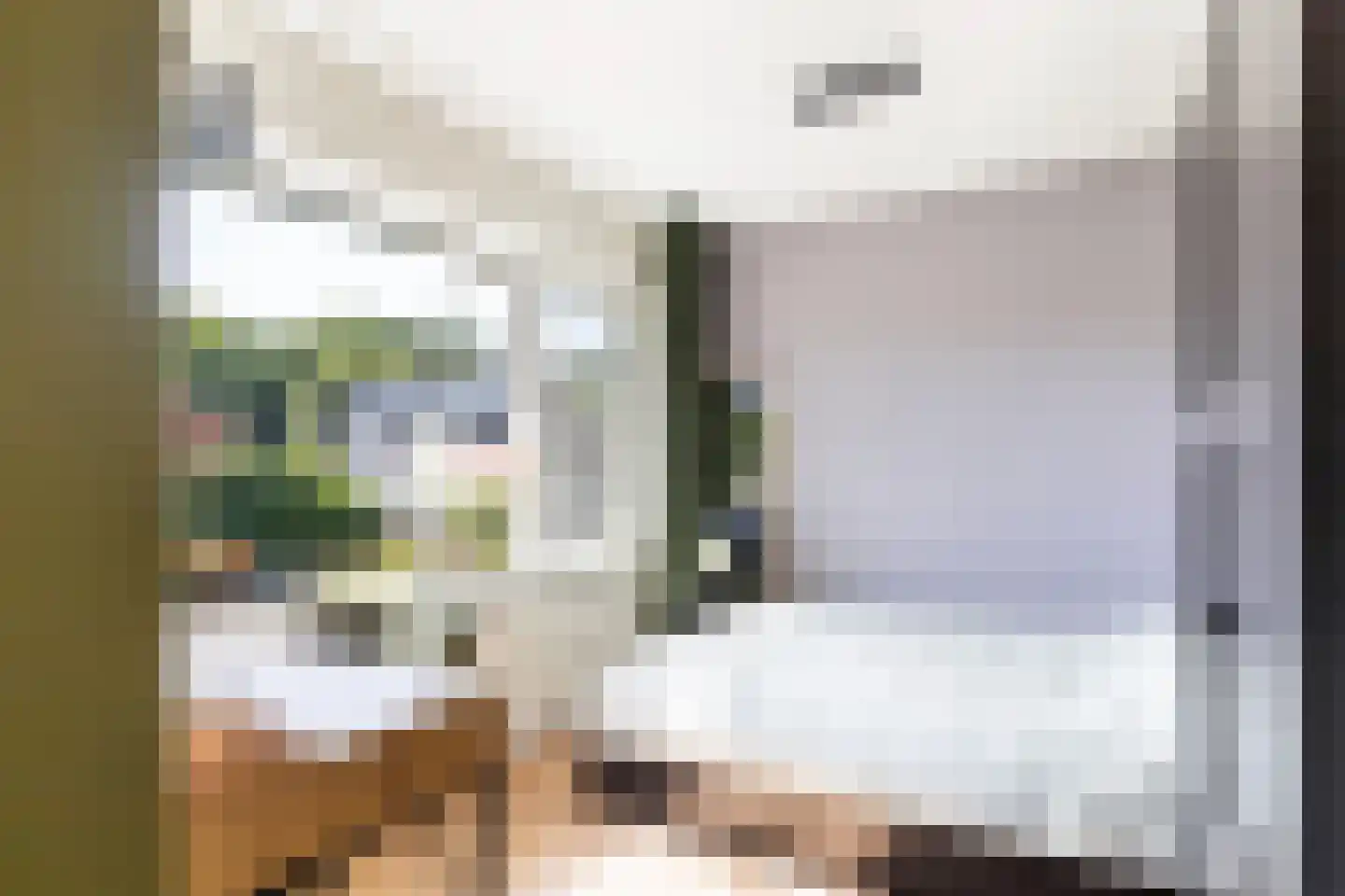 Tooropstraat 36 Apeldoorn thumbnail 23