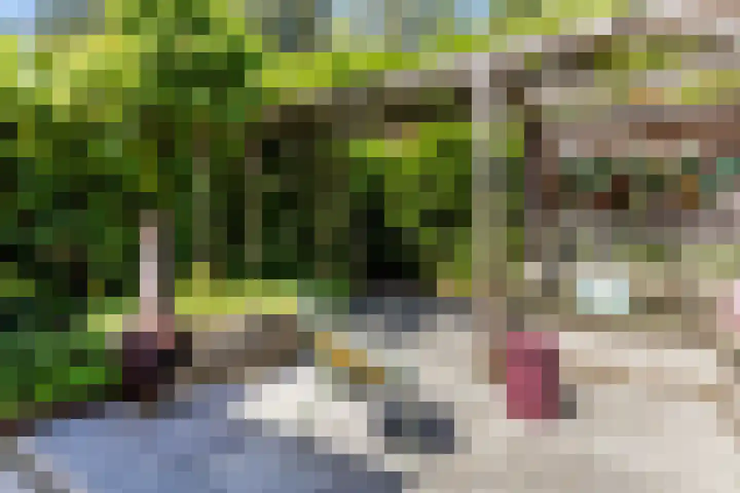 Tooropstraat 36 Apeldoorn thumbnail 30