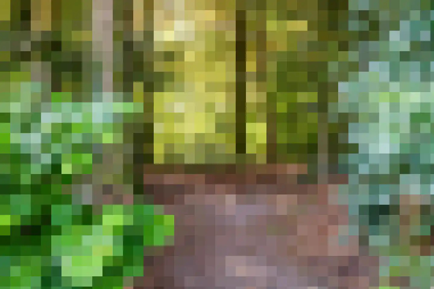 Tooropstraat 36 Apeldoorn thumbnail 37