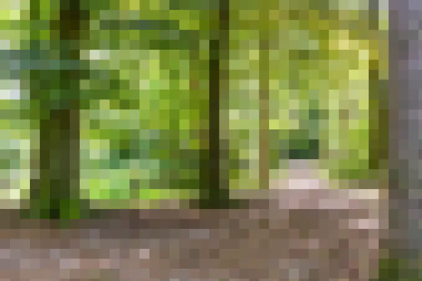 Tooropstraat 36 Apeldoorn thumbnail 38