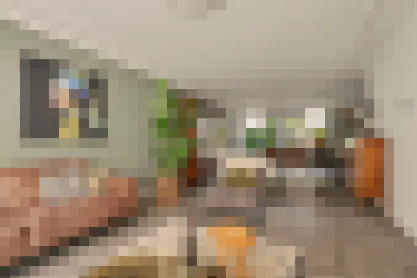 Tooropstraat 39 Rijnsburg thumbnail 15