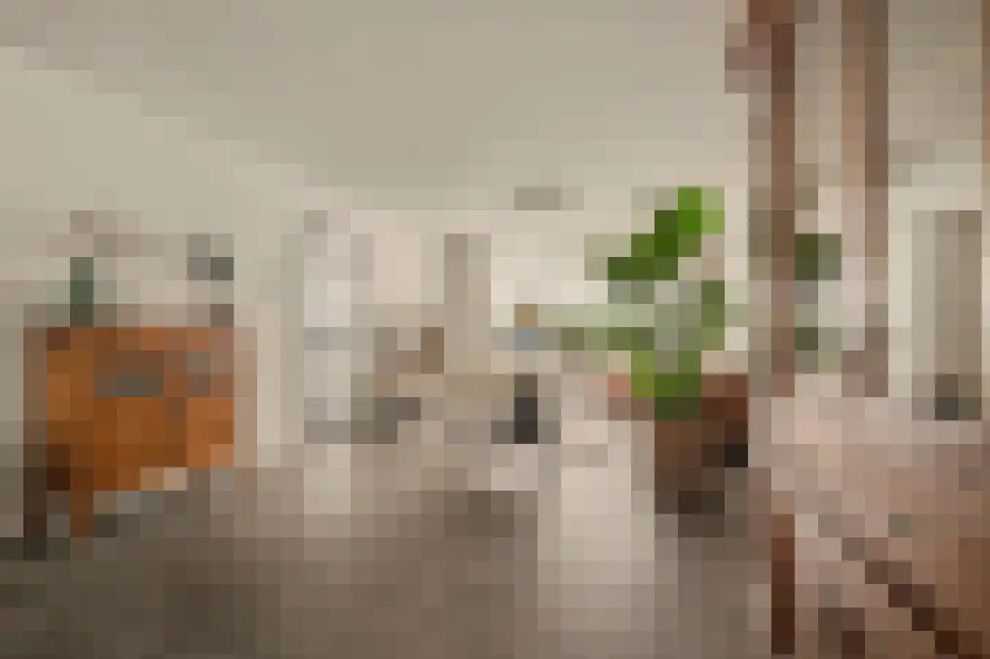 Tooropstraat 39 Rijnsburg thumbnail 17