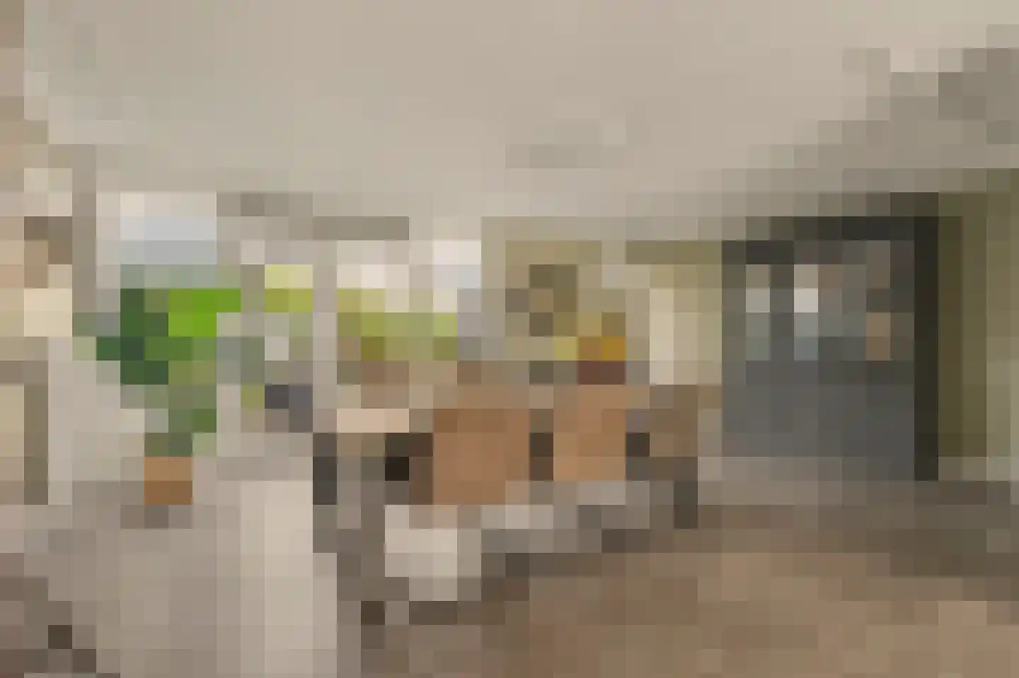 Tooropstraat 39 Rijnsburg thumbnail 18