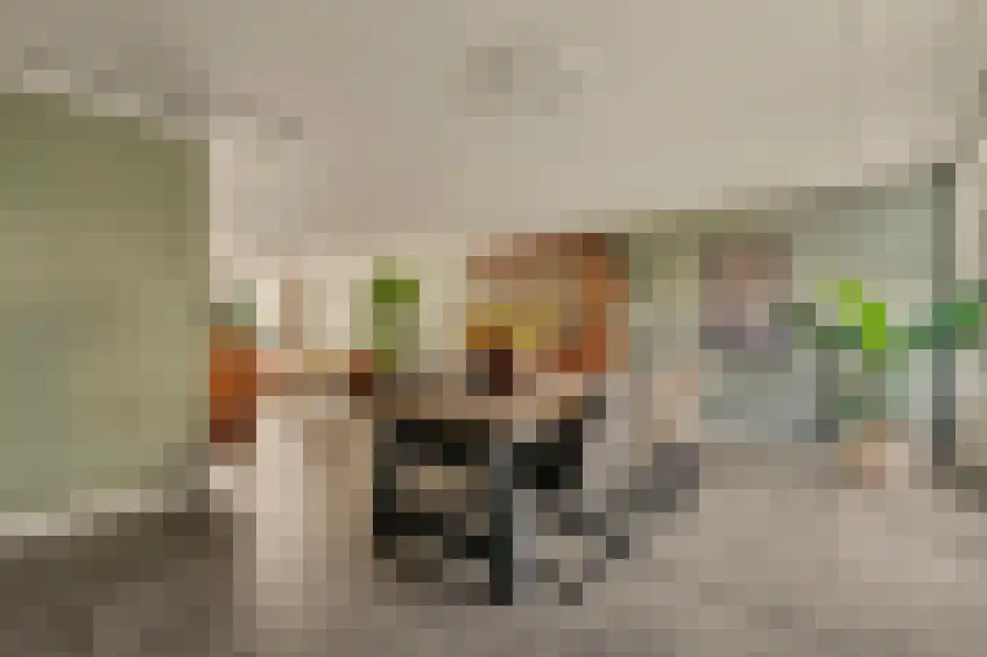 Tooropstraat 39 Rijnsburg thumbnail 20