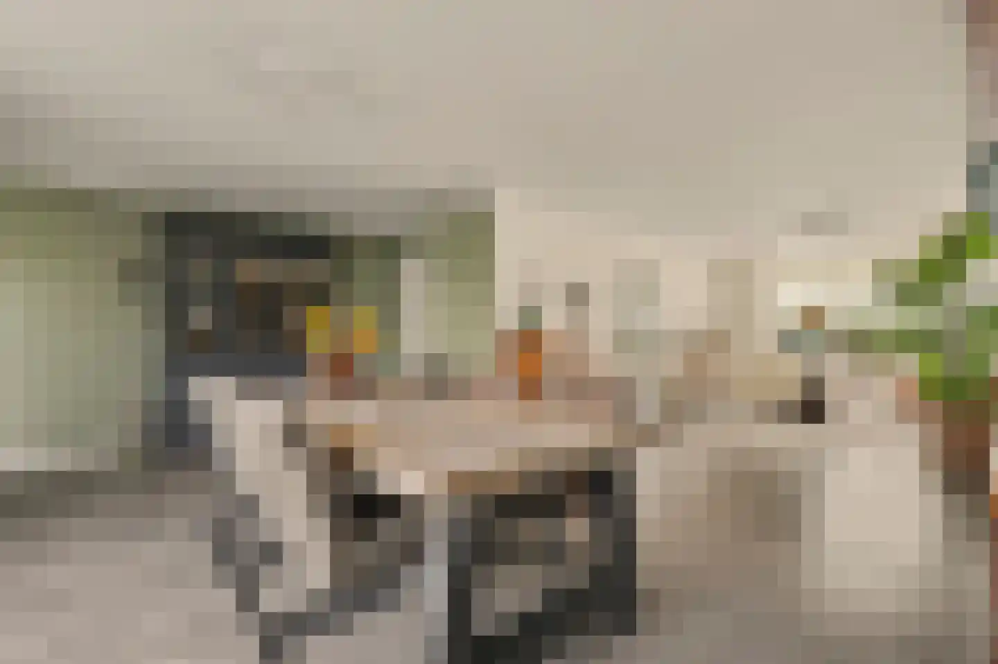 Tooropstraat 39 Rijnsburg thumbnail 21