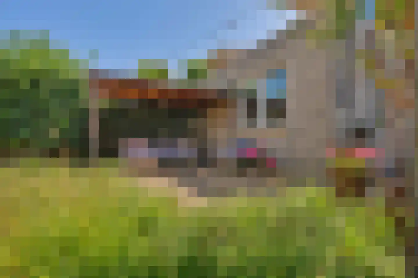 Tooropstraat 39 Rijnsburg thumbnail 43