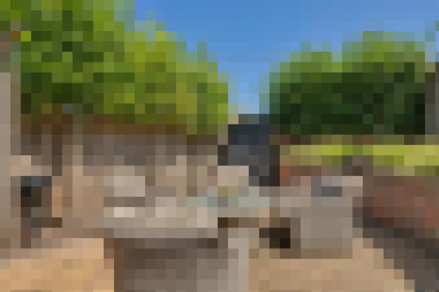 Tooropstraat 39 Rijnsburg thumbnail 45