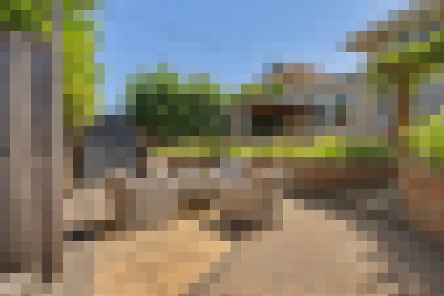 Tooropstraat 39 Rijnsburg thumbnail 46