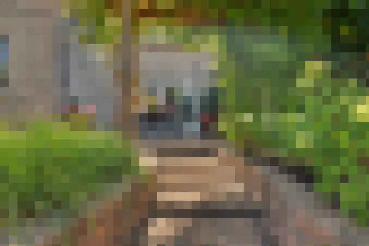 Tooropstraat 39 Rijnsburg thumbnail 49