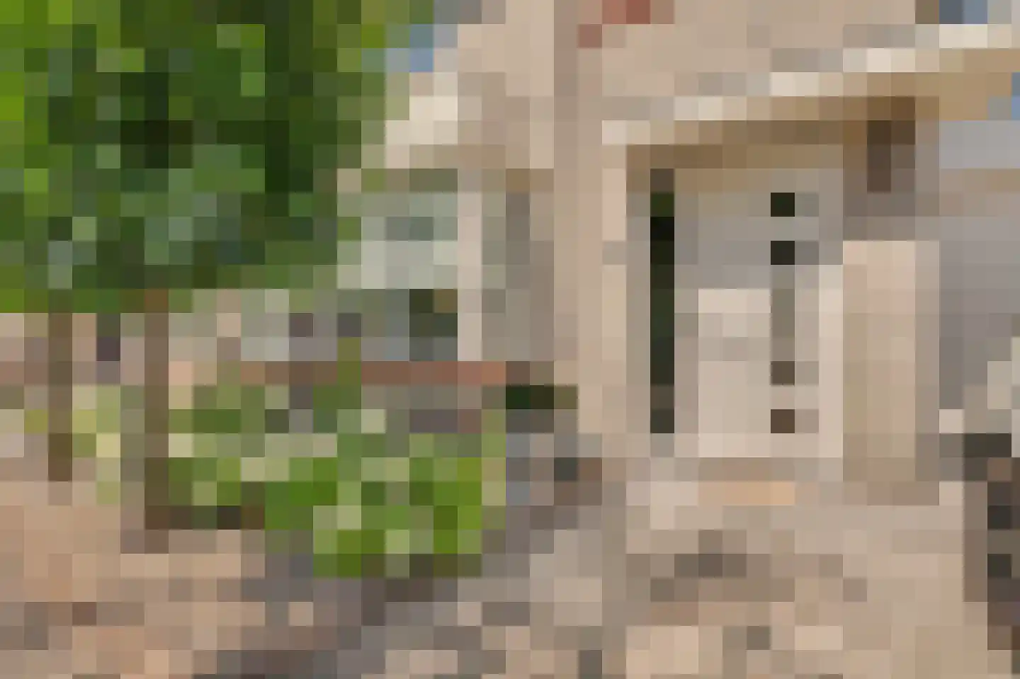 Tooropstraat 39 Rijnsburg thumbnail 9