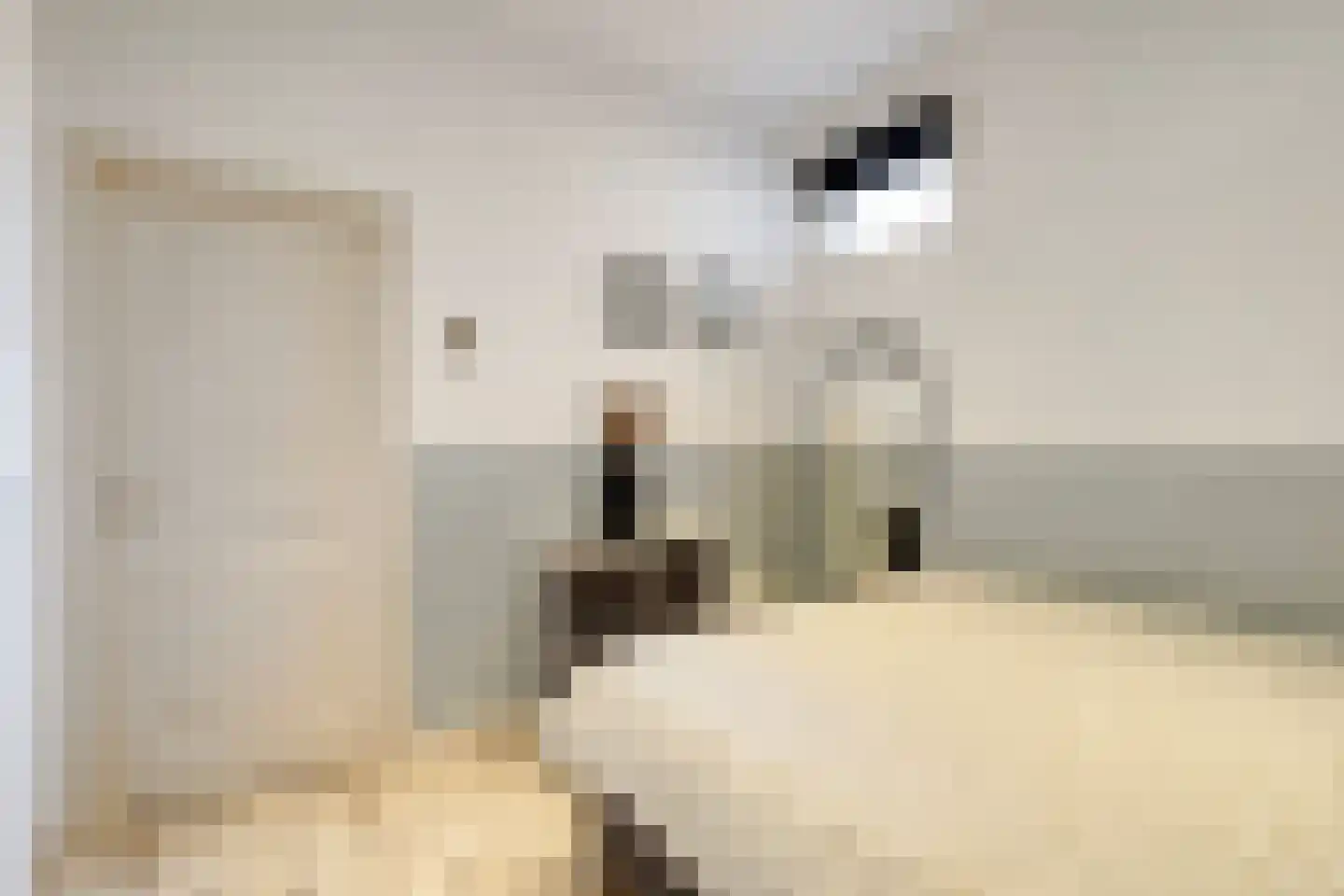 Tooropstraat 6 Nijmegen thumbnail 17