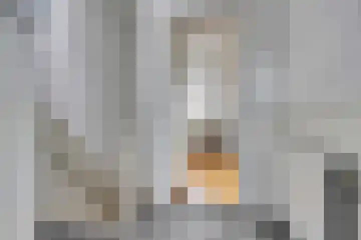 Tooropstraat 77 Nijmegen thumbnail 30