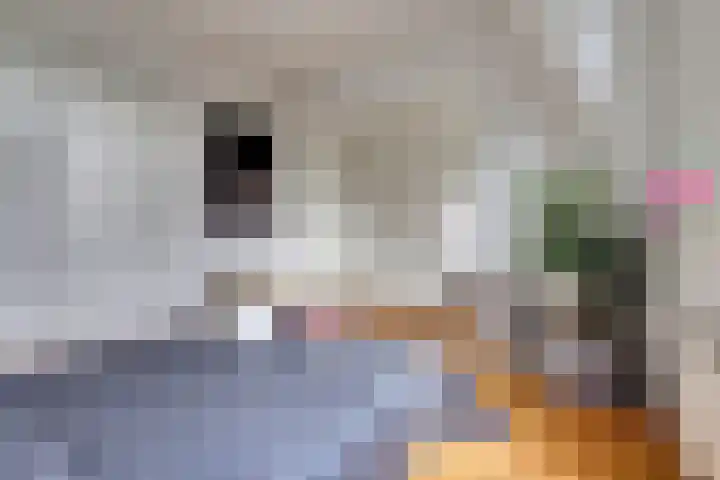 Tooropstraat 77 Nijmegen thumbnail 33