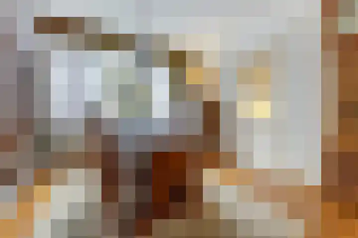 Tooropstraat 8 Dongen thumbnail 13