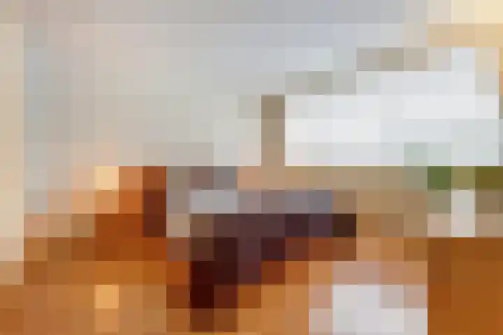 Tooropstraat 8 Dongen thumbnail 20