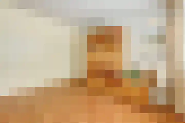 Tooropstraat 8 Dongen thumbnail 23
