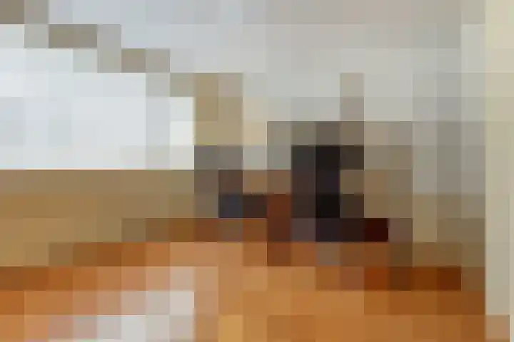 Tooropstraat 8 Dongen thumbnail 24