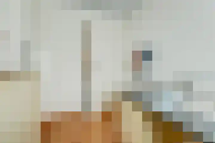 Tooropstraat 8 Dongen thumbnail 27