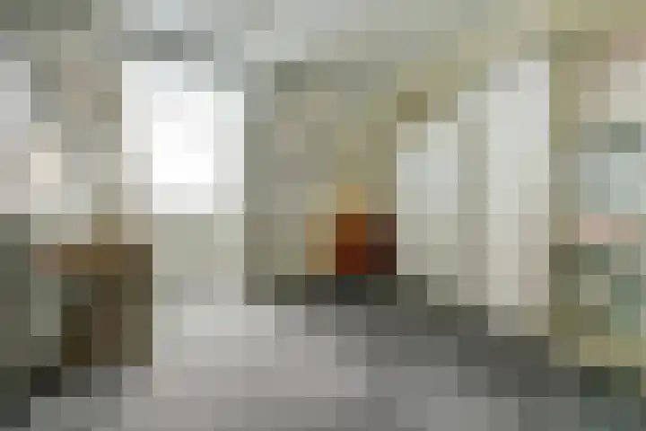 Tooropstraat 8 Dongen thumbnail 33