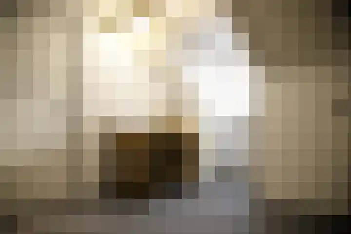 Tooropstraat 8 Dongen thumbnail 34