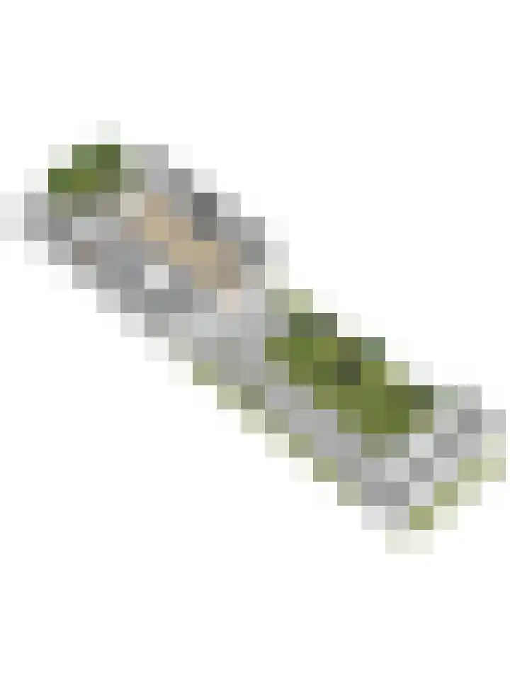 Tooropstraat 8 Dongen thumbnail 41