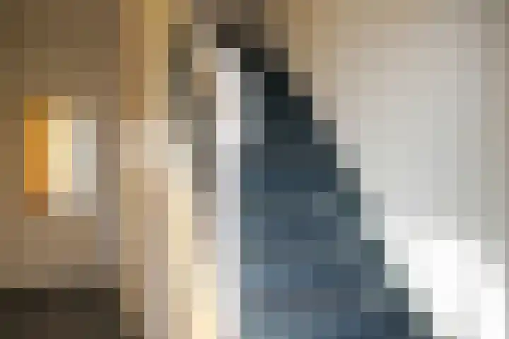 Tooropstraat 8 Dongen thumbnail 5