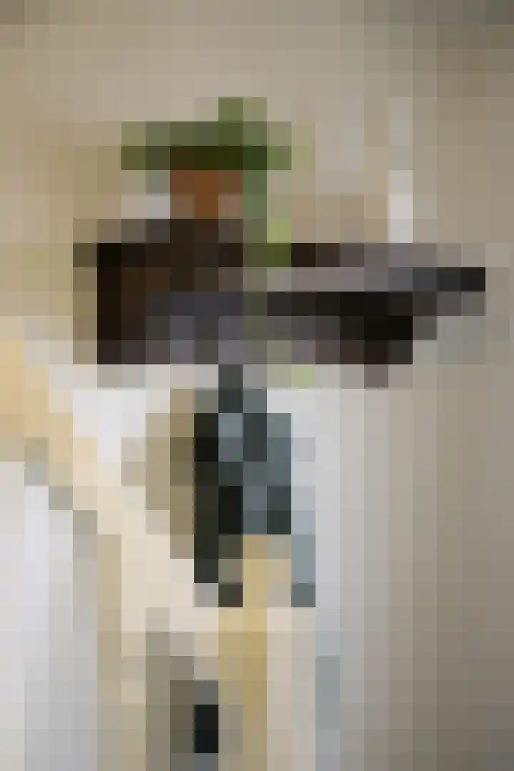 Tooropstraat 8 Dongen thumbnail 6