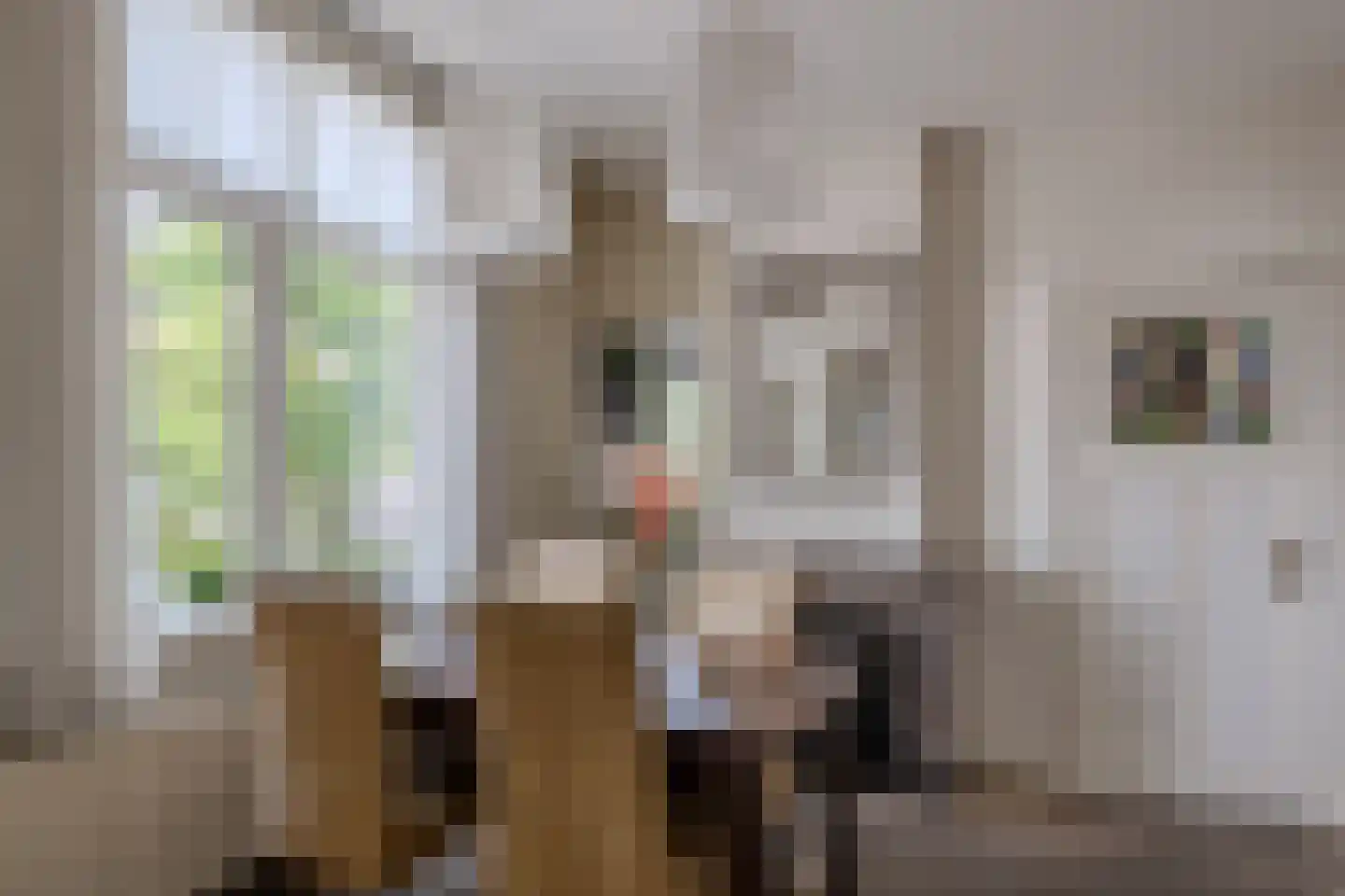 Tooropstraat 8 Nijmegen thumbnail 12