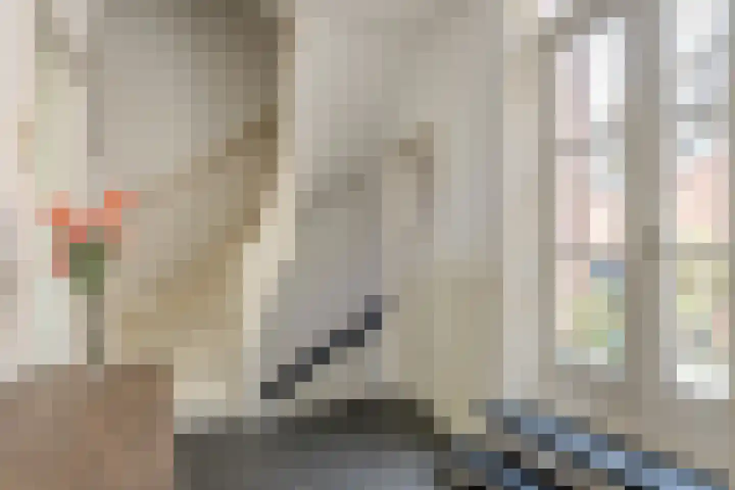 Tooropstraat 8 Nijmegen thumbnail 20