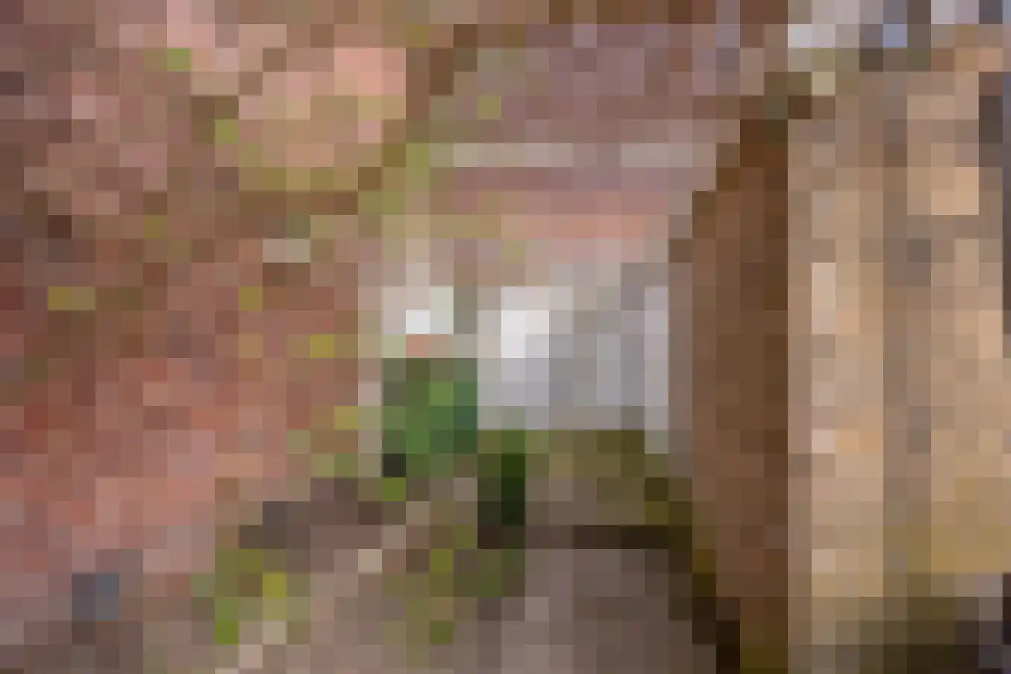 Tooropstraat 85 Nijmegen thumbnail 40