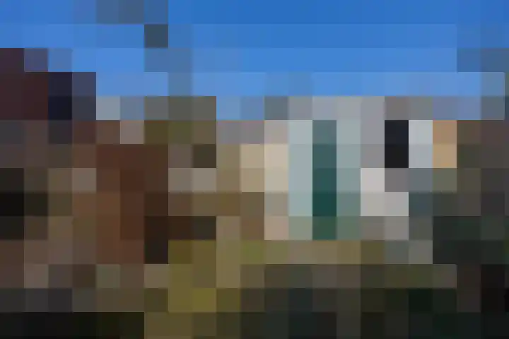 Tooropstraat 91 Nijmegen thumbnail 31