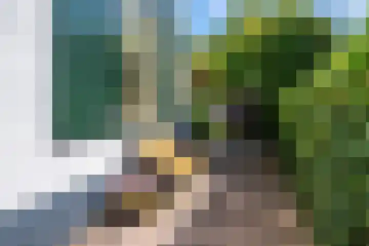 Tooropstraat 99 Nijmegen thumbnail 25