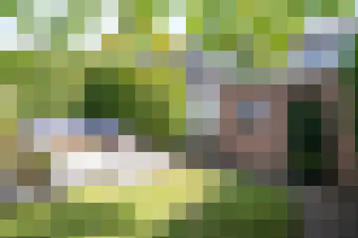 Tooropstraat 99 Nijmegen thumbnail 28