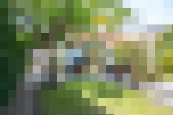 Tooropstraat 99 Nijmegen thumbnail 31