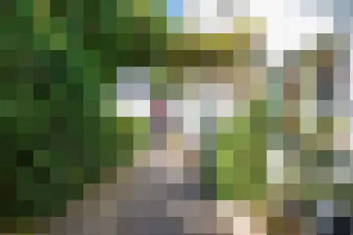 Tooropstraat 99 Nijmegen thumbnail 34