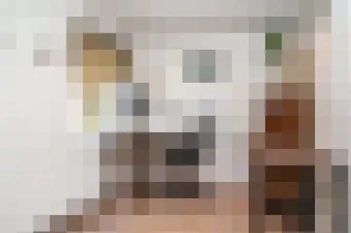 Tooropstraat 99 Nijmegen thumbnail 37