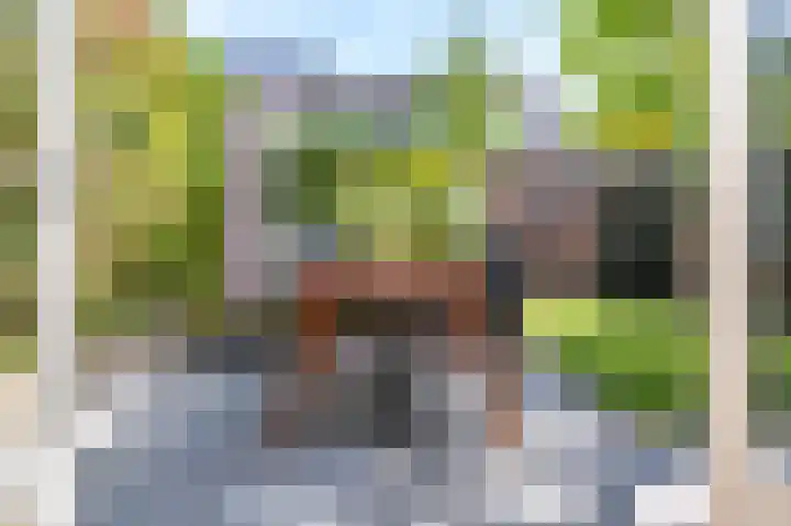 Tooropstraat 99 Nijmegen thumbnail 8