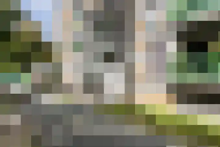 Toos Korvezeepad 62 Nijmegen thumbnail 16