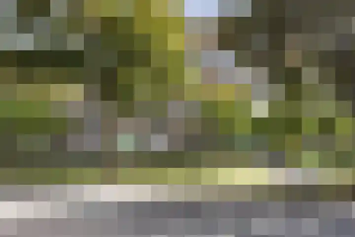 Toos Korvezeepad 62 Nijmegen thumbnail 18