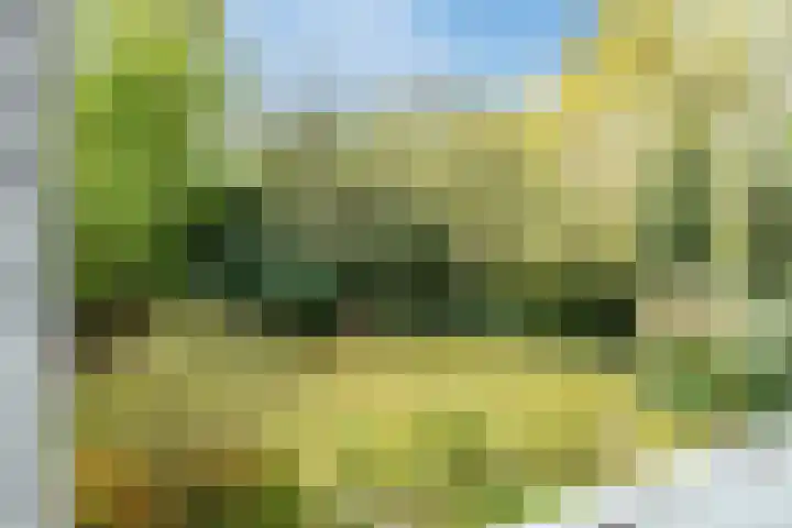 Top Naeffdreef 71 Tilburg thumbnail 22