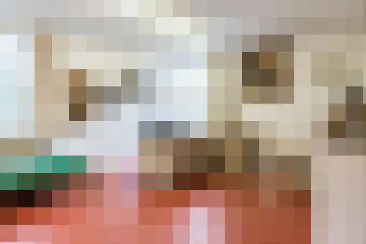 Top Naeffdreef 71 Tilburg thumbnail 23