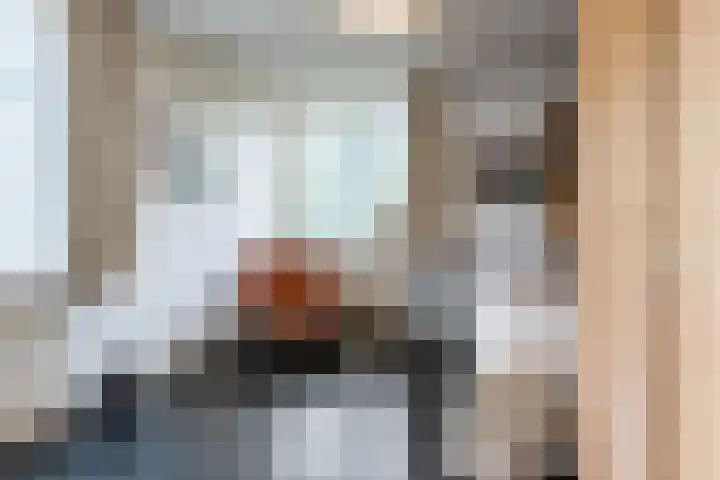Top Naeffdreef 71 Tilburg thumbnail 25