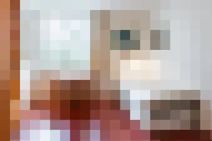 Top Naeffdreef 71 Tilburg thumbnail 27