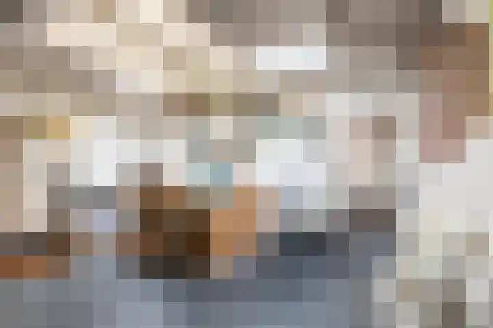 Top Naeffdreef 71 Tilburg thumbnail 33