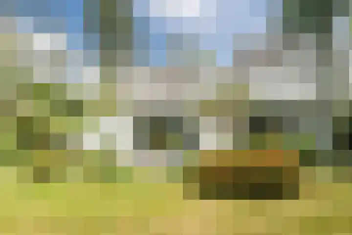 Top Naeffdreef 71 Tilburg thumbnail 37