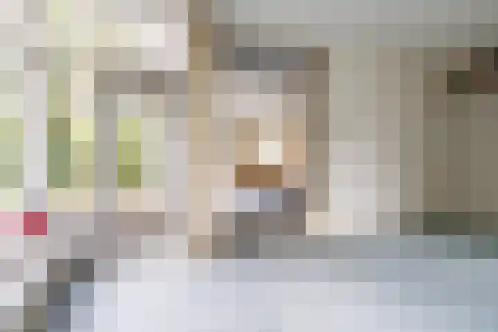Top Naeffdreef 71 Tilburg thumbnail 9