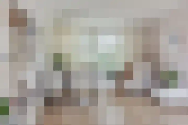 Top Naefflaan 19 Amstelveen thumbnail 15
